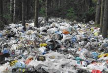 Photo of Проблема с отходами в городе
