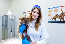 Photo of Преобразование музейных тачек в шедевры дизайна